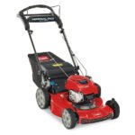 Toro Recycler Self-Propelled Mower 163cc Briggs & Stratton 7.25 TP (22")
