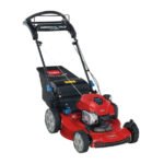 Toro Recycler SmartStow RWD Mower 150cc Briggs & Stratton 6.25 TP (22")