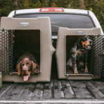 Reinforced One‑Piece High Impact CRaTe for Working and High‑Drive Dogs