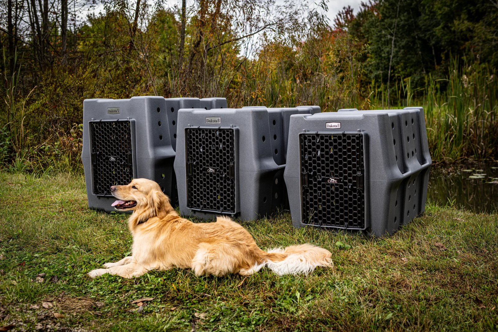 Reinforced One‑Piece High Impact CRaTe for Working and High‑Drive Dogs - Image 7