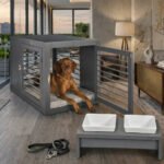 Moderno Contemporary Crate With Padded Mat and Matching Bowls